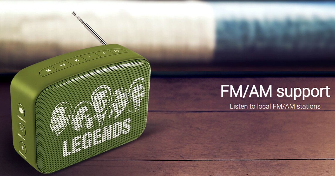 Buy Saregama Carvaan Mini 2 Hindi Portable Music Player with Bluetooth