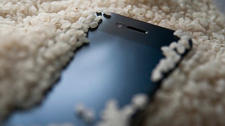 Phone In Rice